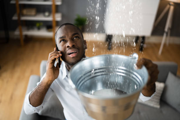 Best Ceiling water damage repair  in East Bangor, PA