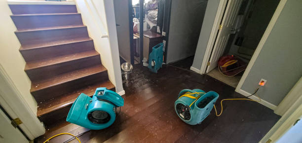 Best Local water damage restoration  in East Bangor, PA