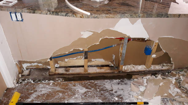 Best Water damage cleanup near me  in East Bangor, PA