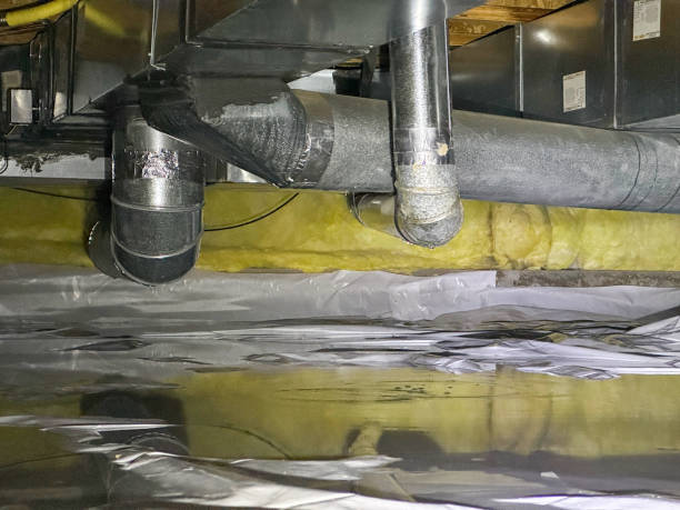 Best Carpet water damage restoration  in East Bangor, PA