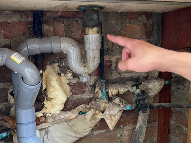 Best Local water damage restoration  in East Bangor, PA